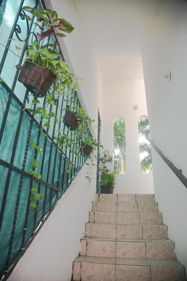 Navieros Rooms Bacalar Dış mekan fotoğraf